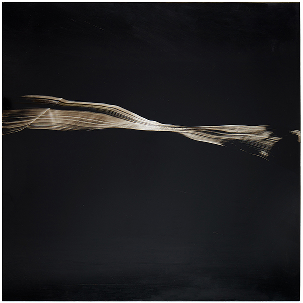 The Whiteness of the Whale. 2015. Oil on stainless steel. 100 x 100cm