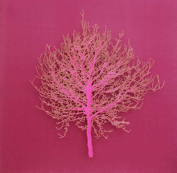 Hill Tree 5